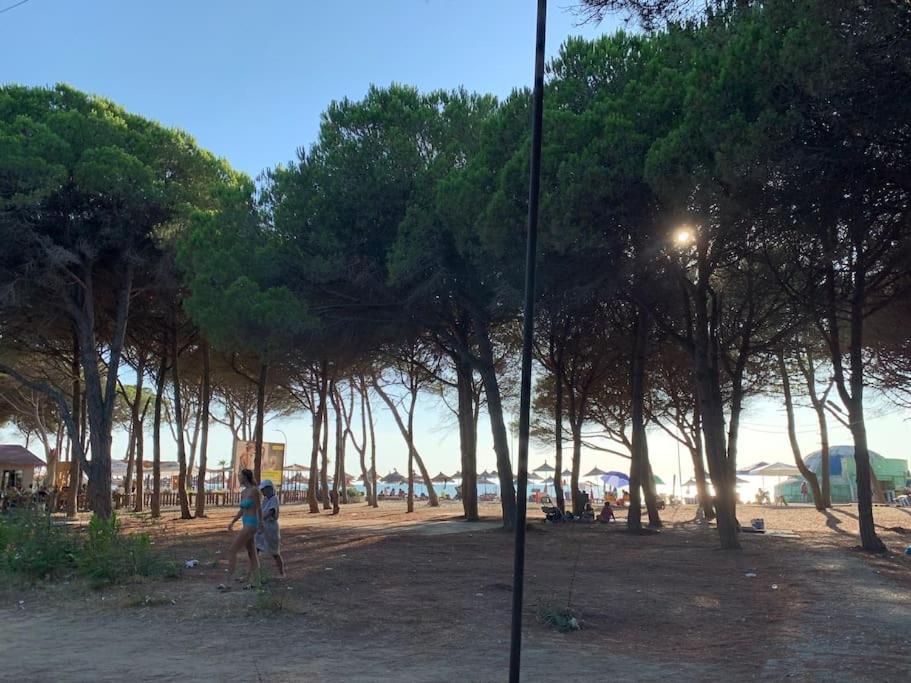 Forest Cottage - Middle Of Forest & Near The Beach Golem  Esterno foto