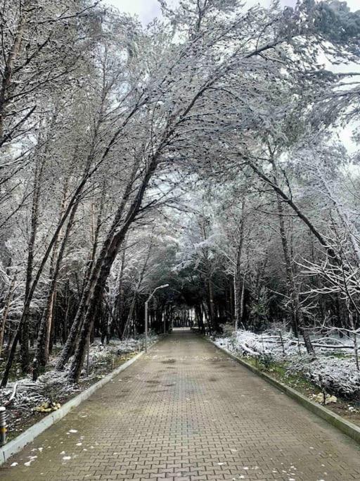 Forest Cottage - Middle Of Forest & Near The Beach Golem  Esterno foto
