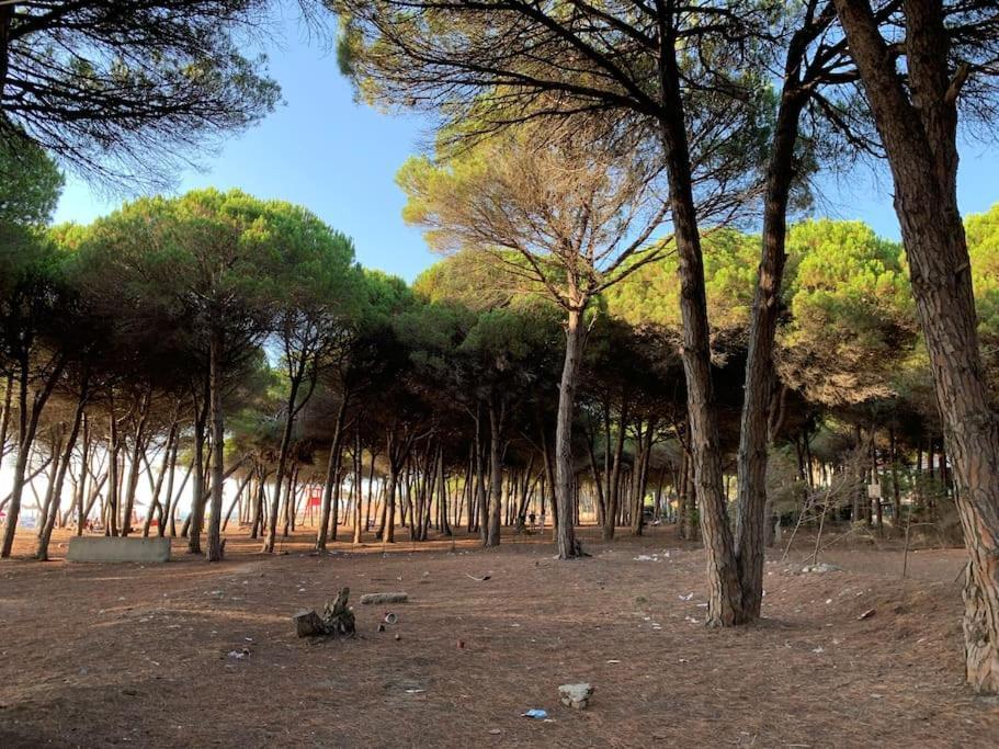 Forest Cottage - Middle Of Forest & Near The Beach Golem  Esterno foto