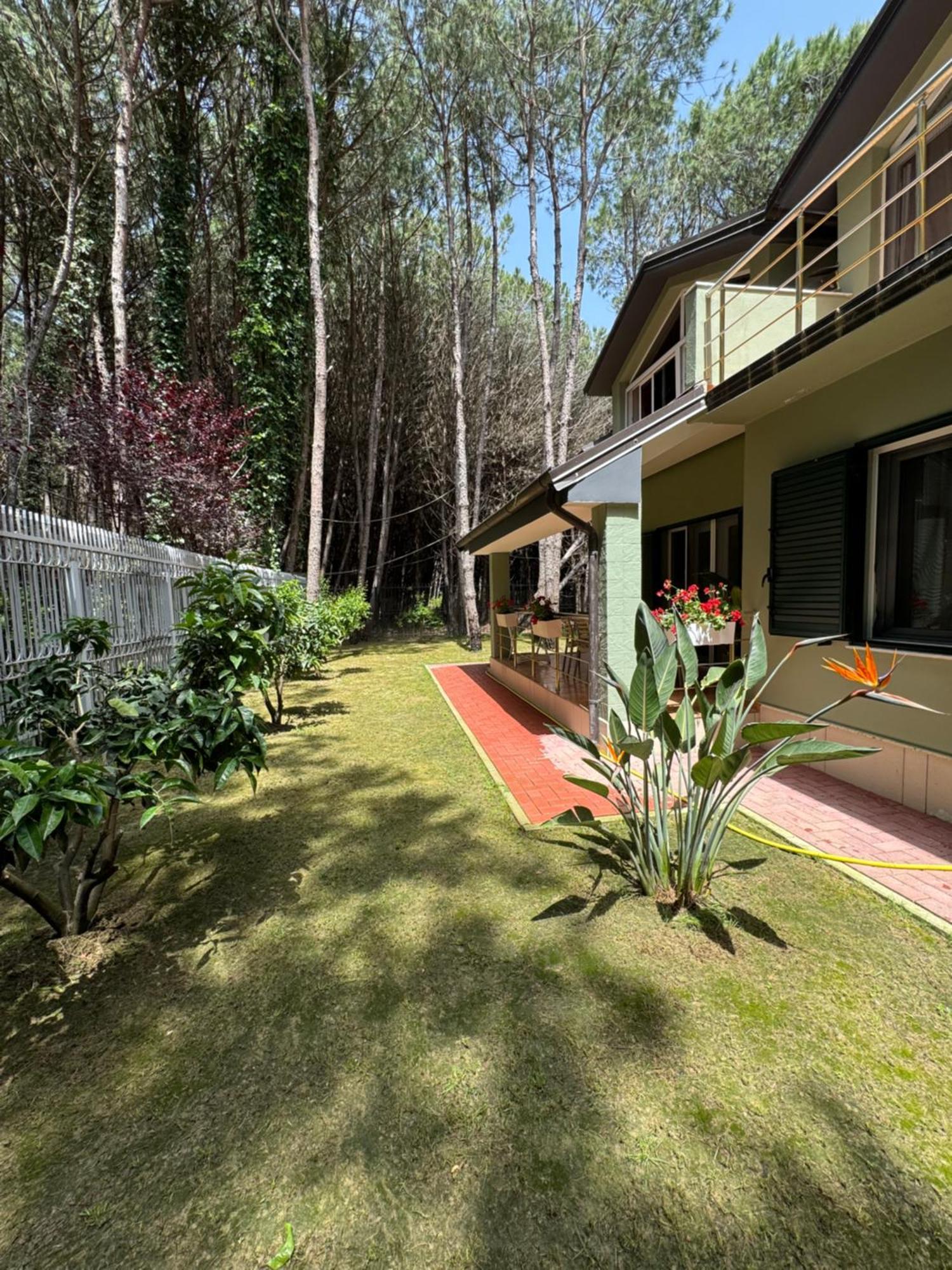 Forest Cottage - Middle Of Forest & Near The Beach Golem  Esterno foto