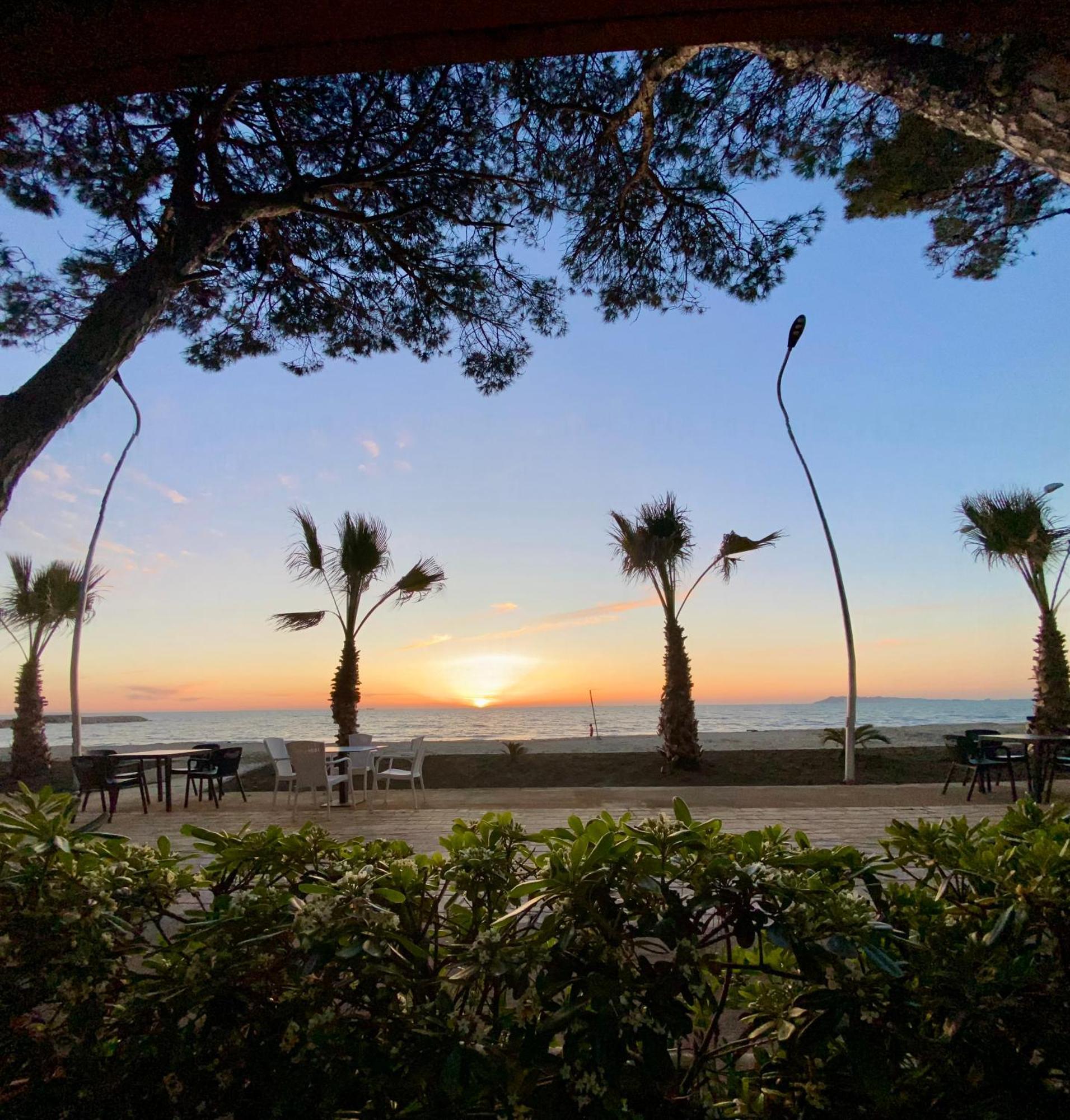 Forest Cottage - Middle Of Forest & Near The Beach Golem  Esterno foto