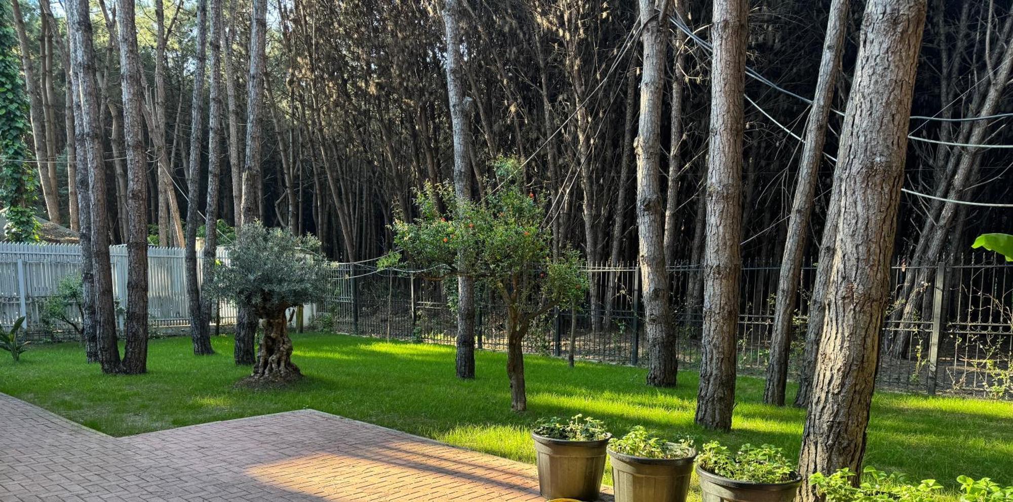 Forest Cottage - Middle Of Forest & Near The Beach Golem  Esterno foto